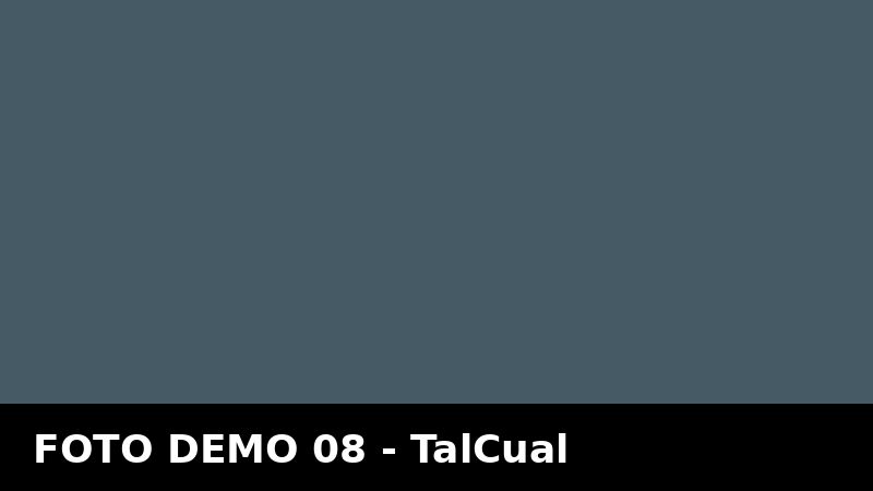 Actualidad demo 05: Feliciano celebró su fiesta del ternero