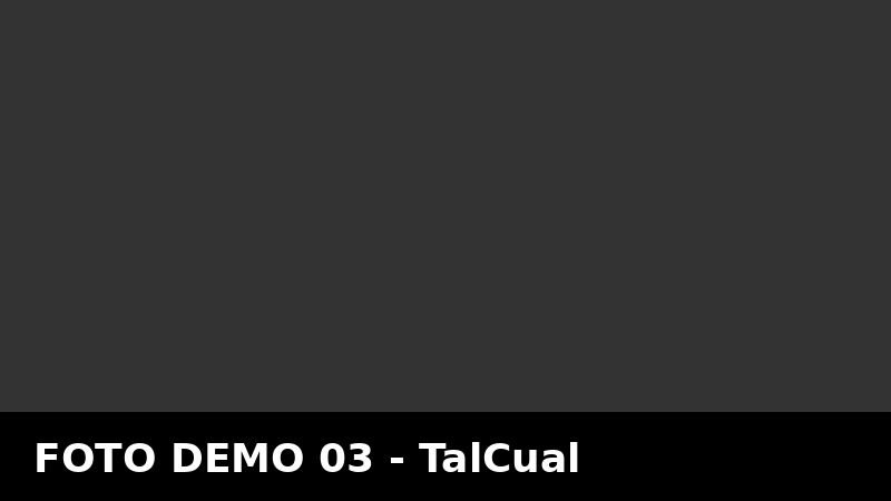 Judiciales demo 01: condena por estafa con planes sociales