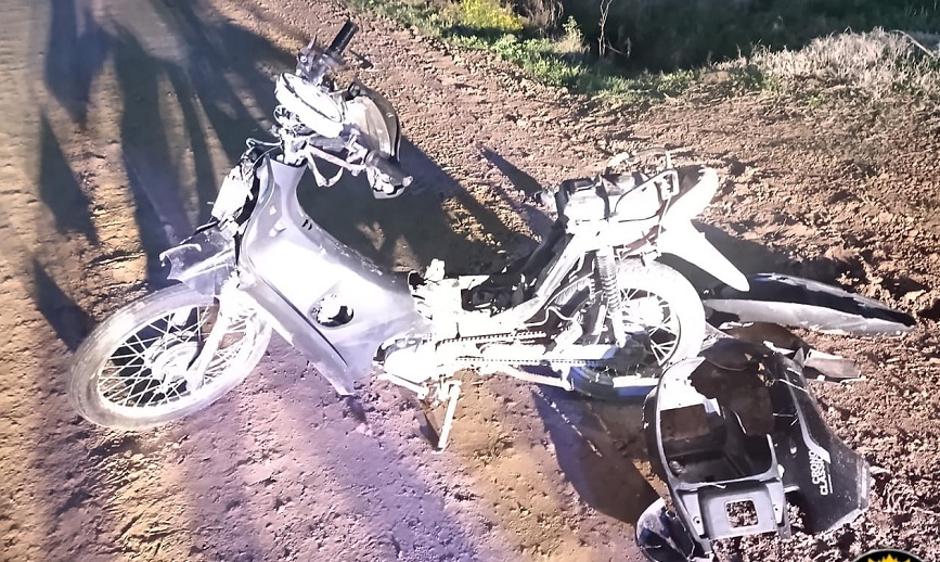 Un motociclista chocó contra un caballo que cruzó imprevistamente la calzada