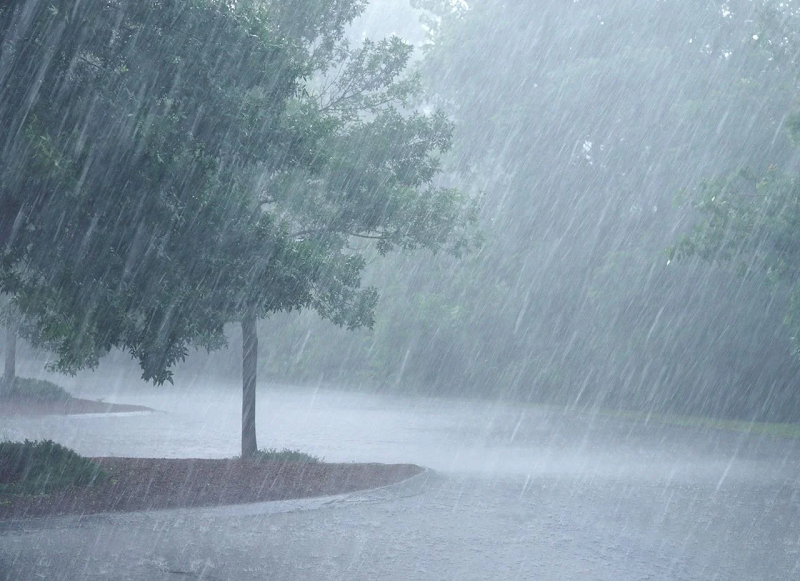 Rige alerta amarilla por tormentas: prevén hasta 50 milímetros de lluvia en gran parte de Entre Ríos